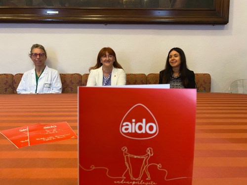 Aido Alessandria - Nicholas' room